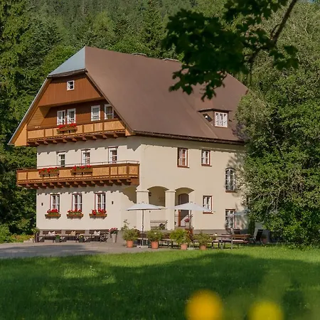 Bio-Holzhaus und Landhaus Heimat Ramsau am Dachstein Exterior foto