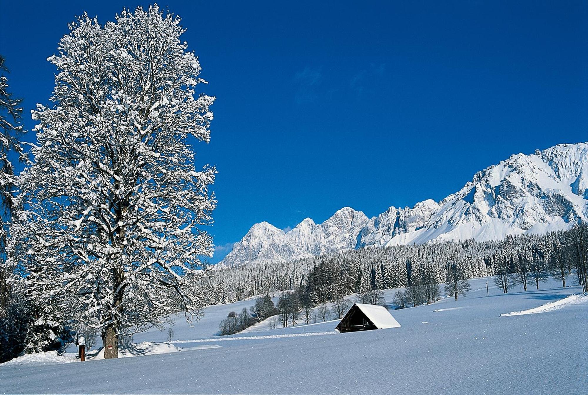 Bio-holzhaus Und Landhaus Heimat Ramsau am Dachstein