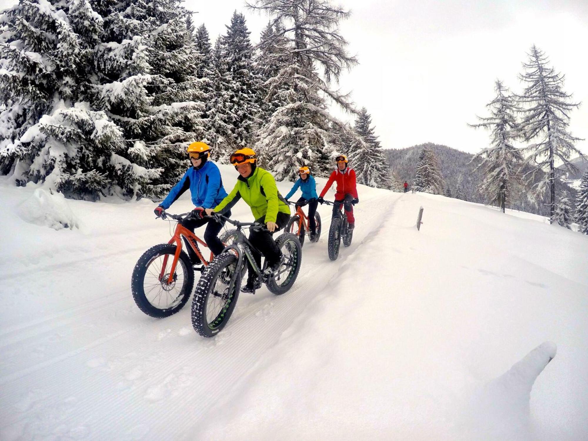 Apartament Bio-holzhaus Und Heimat Ramsau am Dachstein