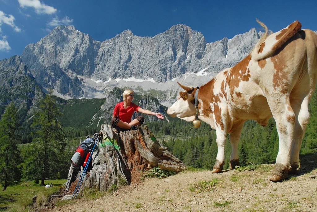 Bio-holzhaus Und Heimat * Ramsau am Dachstein