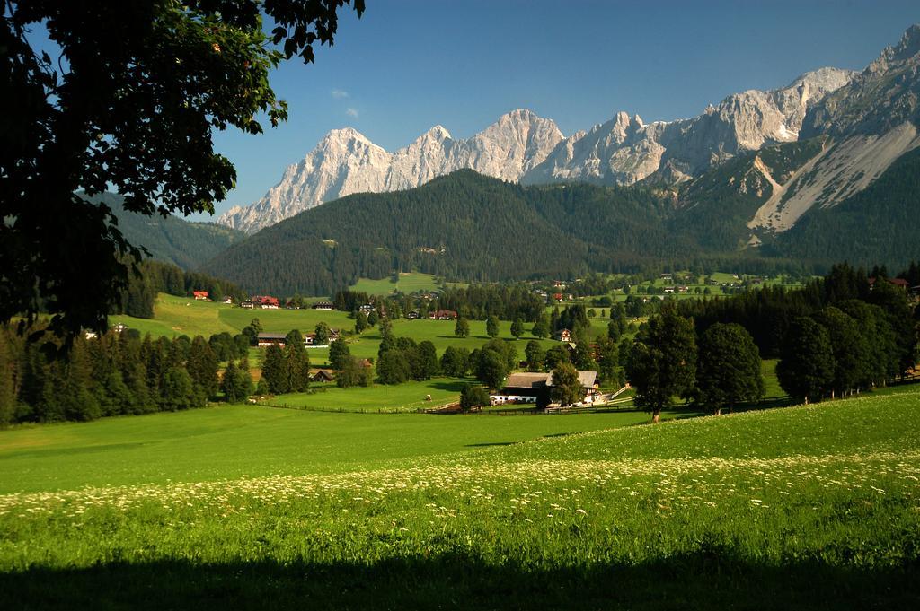 Bio-holzhaus Und Landhaus Heimat Apartment