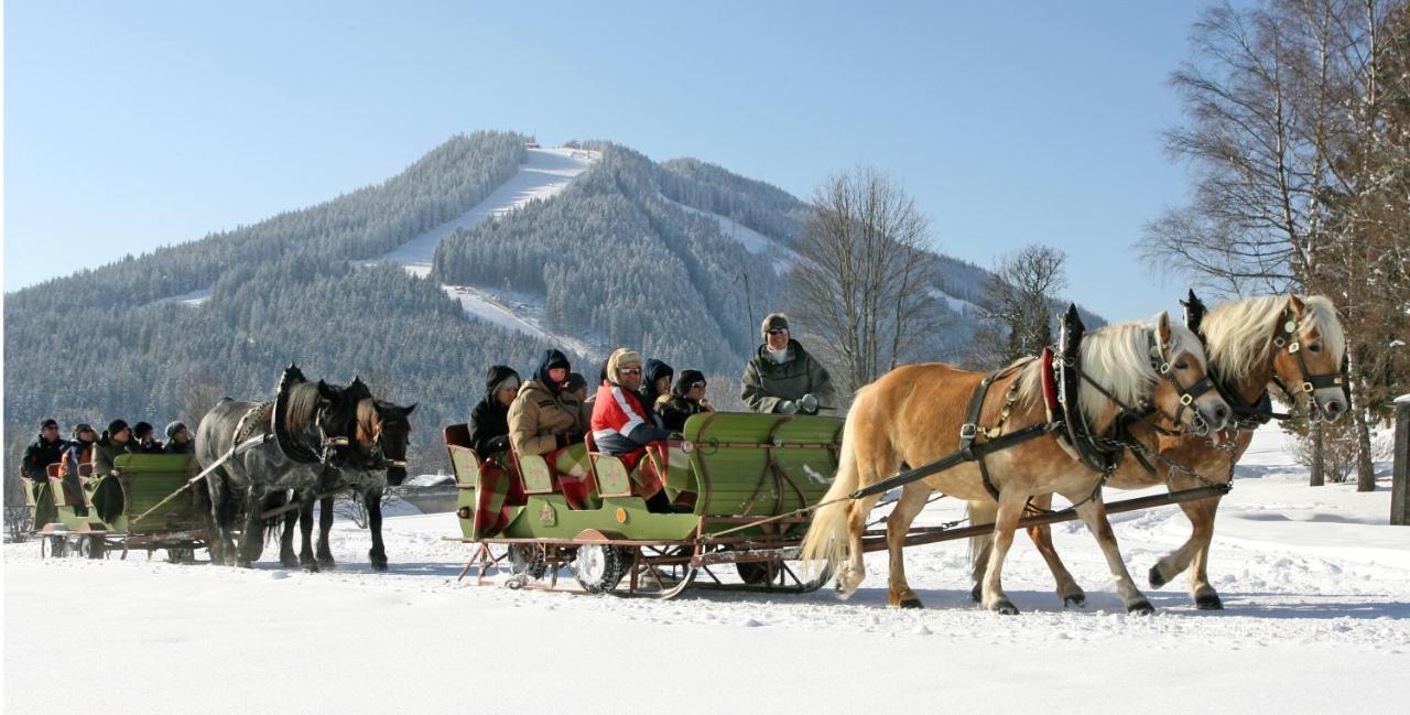 Bio-holzhaus Und Landhaus Heimat Ramsau am Dachstein